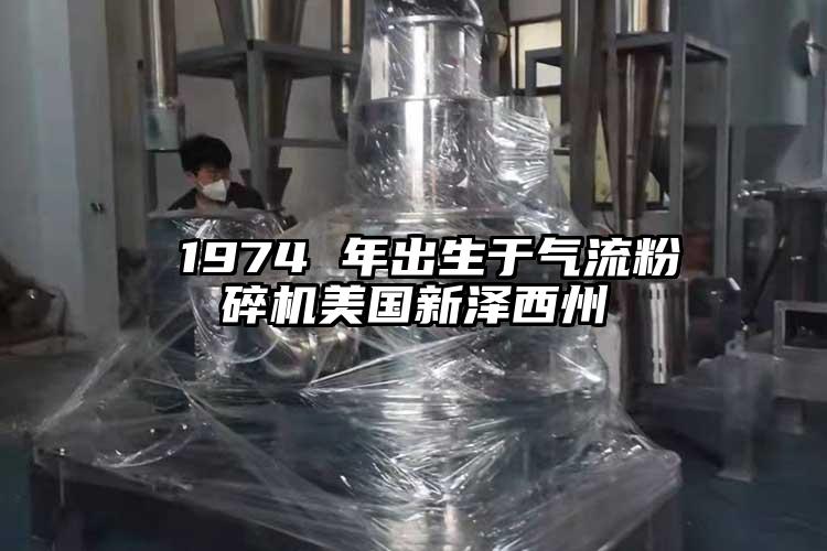  1974 年出生於奶茶黄色视频网站美國新澤西州