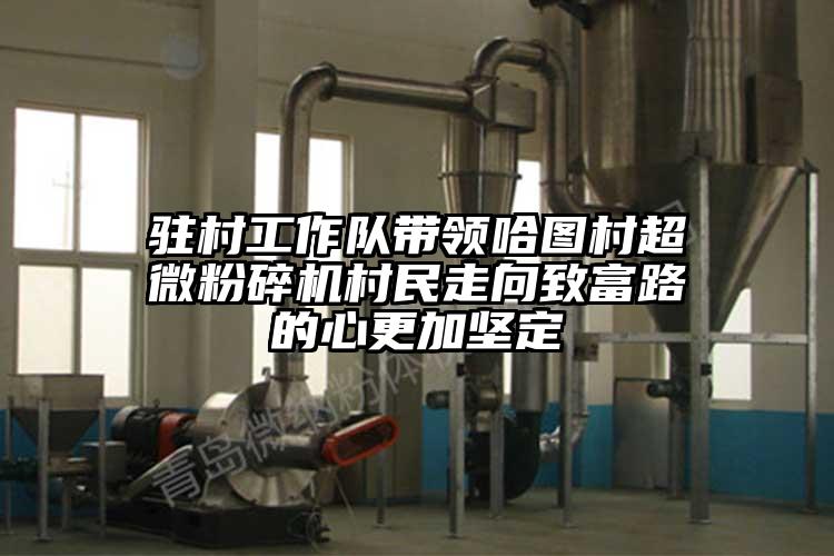 駐村工作隊帶領哈圖村国产黄片奶茶视频村民走向致富路的心更加堅定