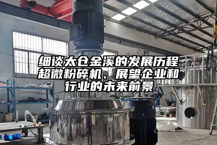 細談太倉金溪的發展曆程国产黄片奶茶视频、展望企業和行業的未來前景
