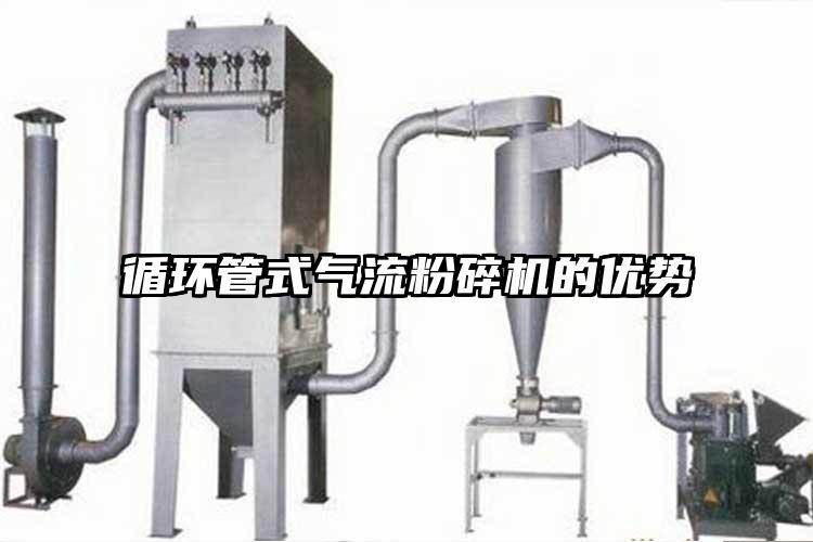 循環管式奶茶黄色视频网站的優勢